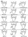 hand-signals.jpg