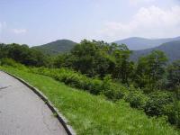 imgp0133.JPG