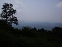 imgp0177.JPG