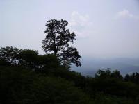 imgp0187.JPG