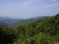 imgp0526.JPG